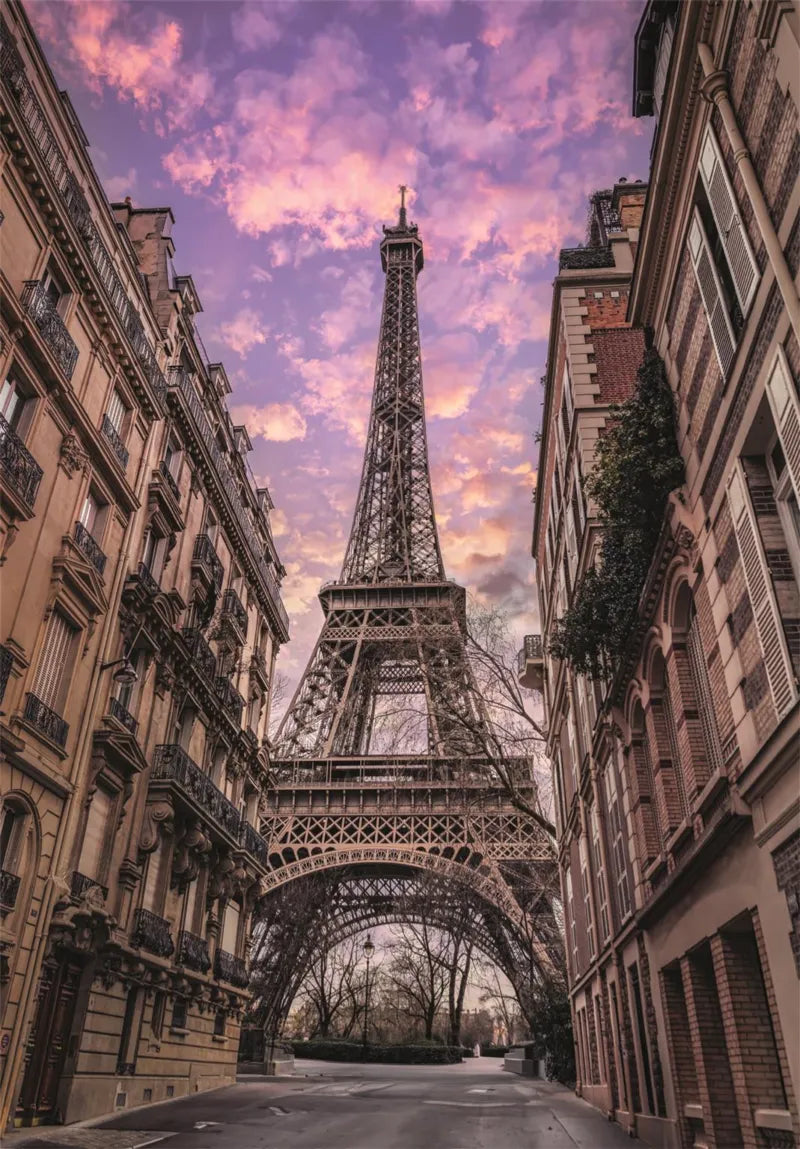 Paris Awakens 1500pc