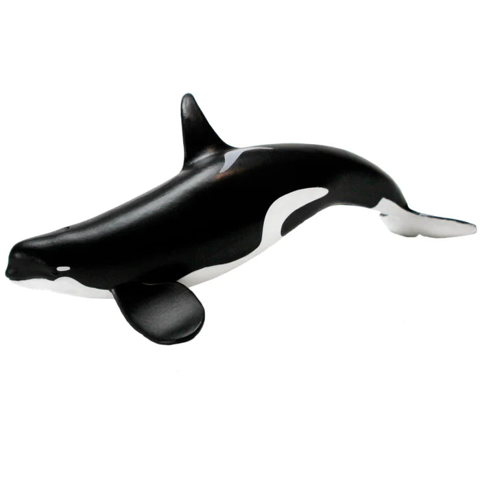 Type D Orca