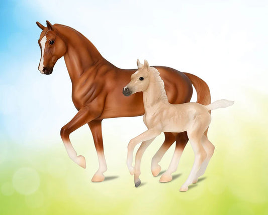 Power & Precision Warmblood Stallion & Foal 1/12