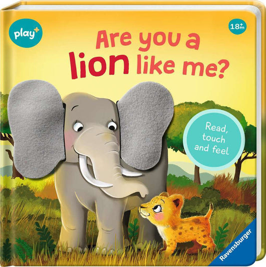 Are You a Lion Like Me?