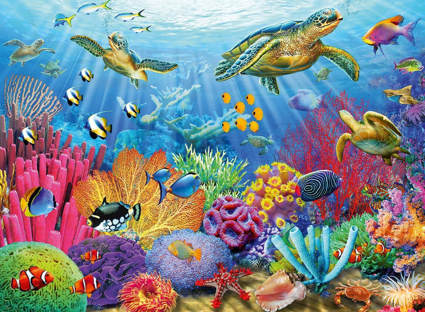 Tropical Waters 500pc