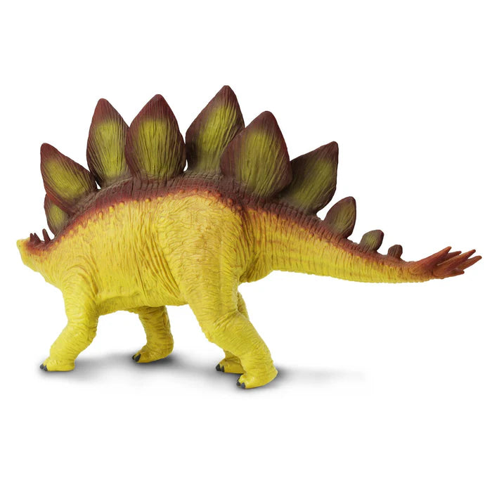 Stegosaurus