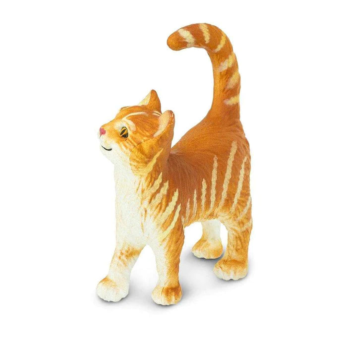 Tabby Cat