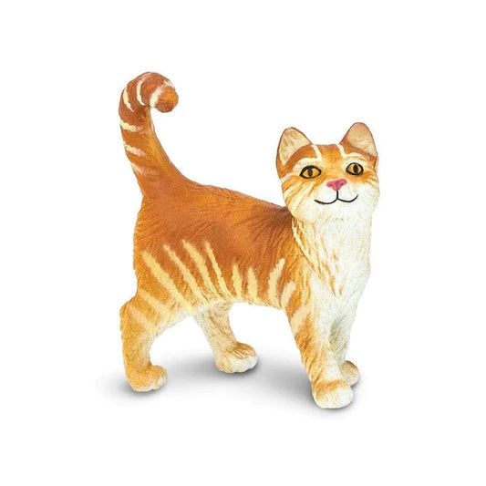 Tabby Cat