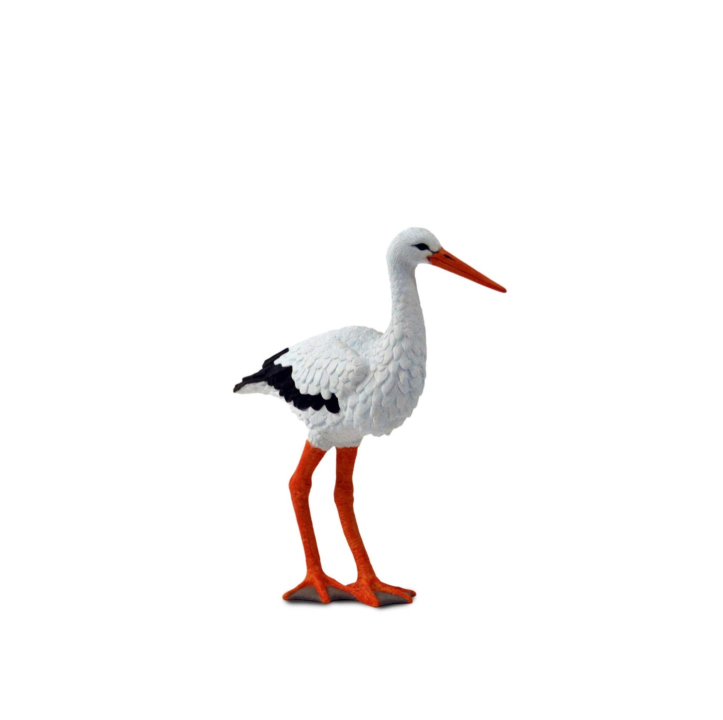 Stork