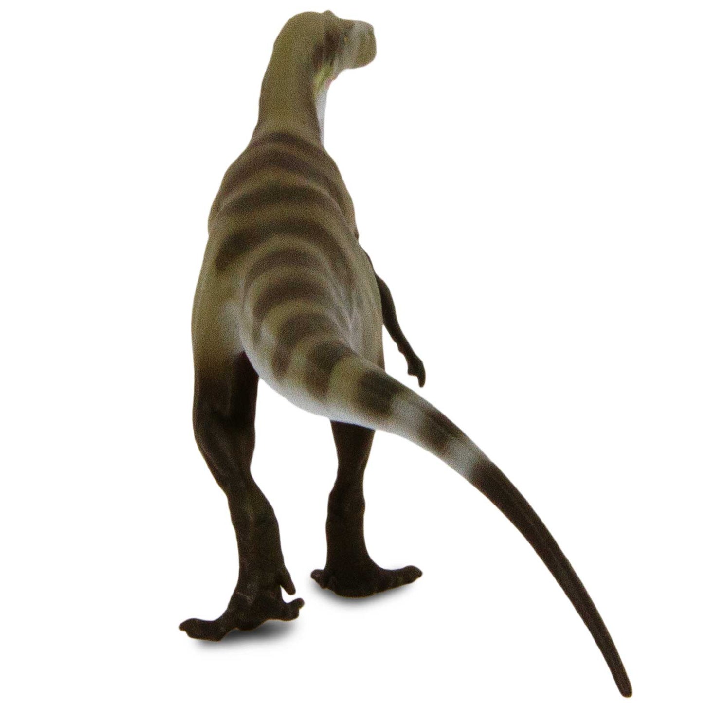 Megalosaurus