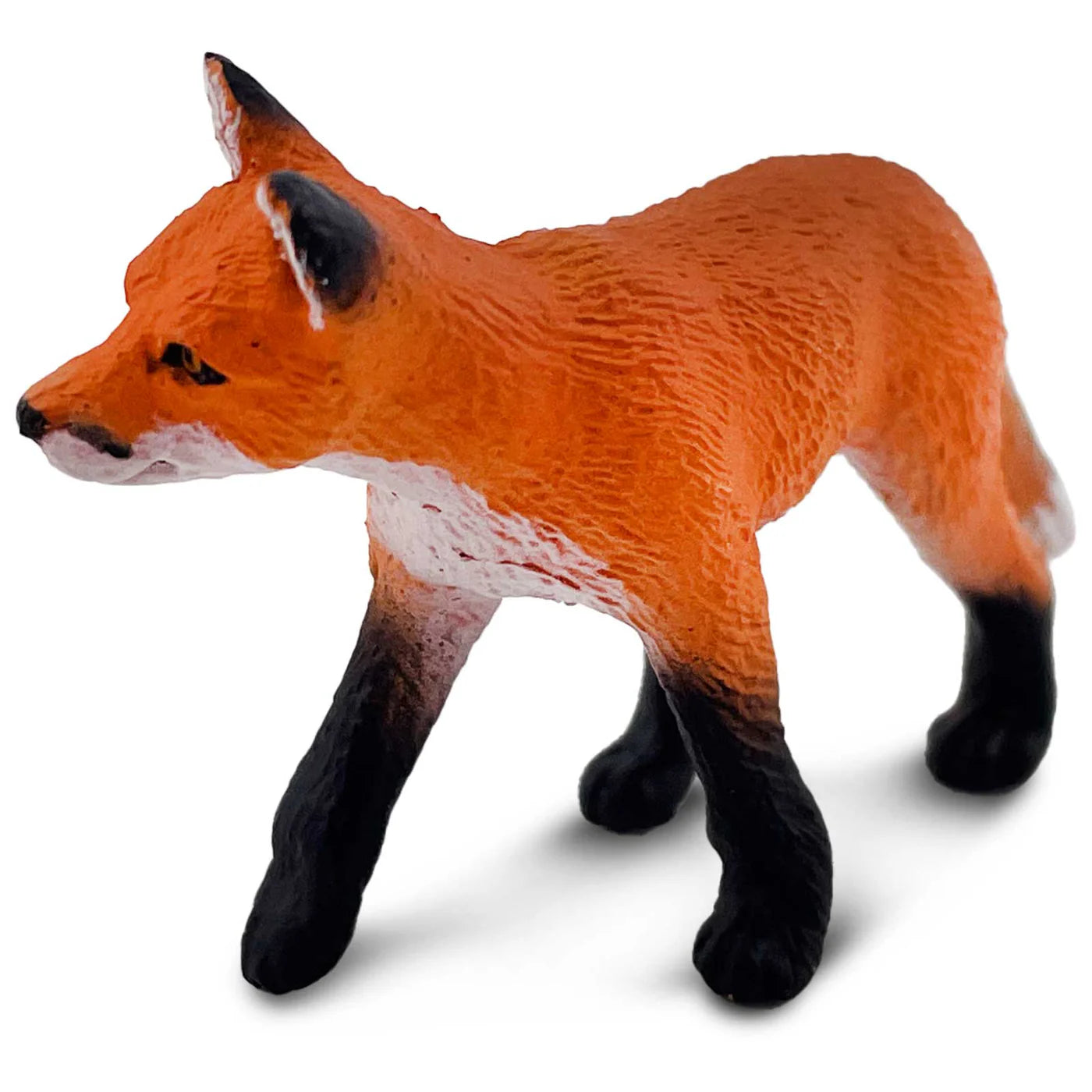 Red Fox