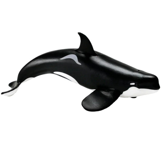 Type D Orca