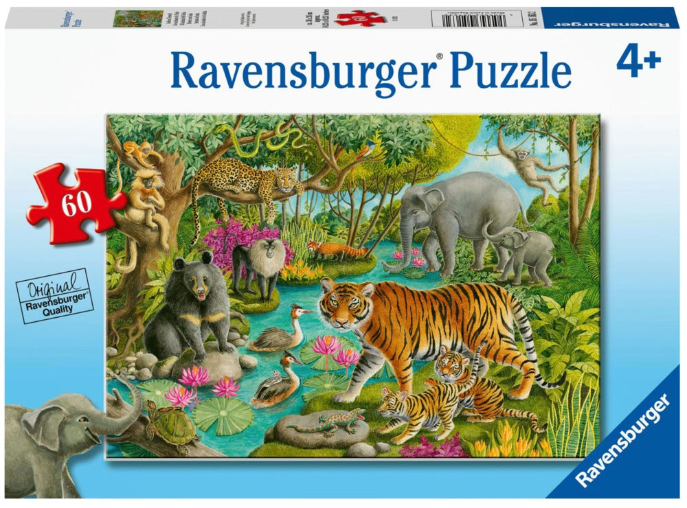 Animals of India 60pc