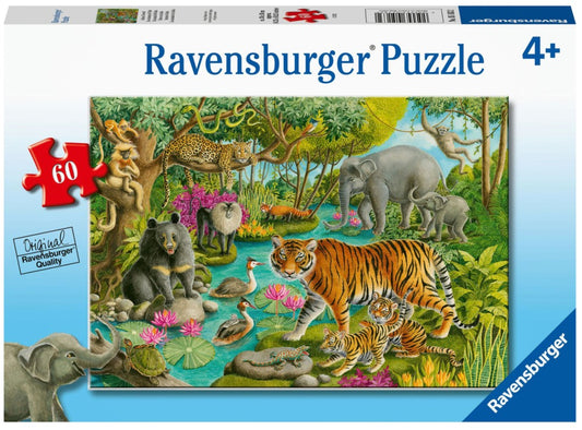 Animals of India 60pc