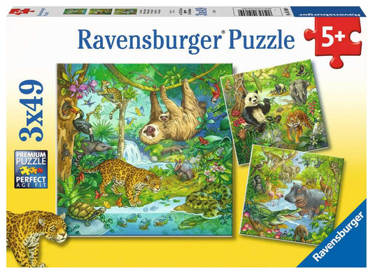 Jungle Fun 3X49pc