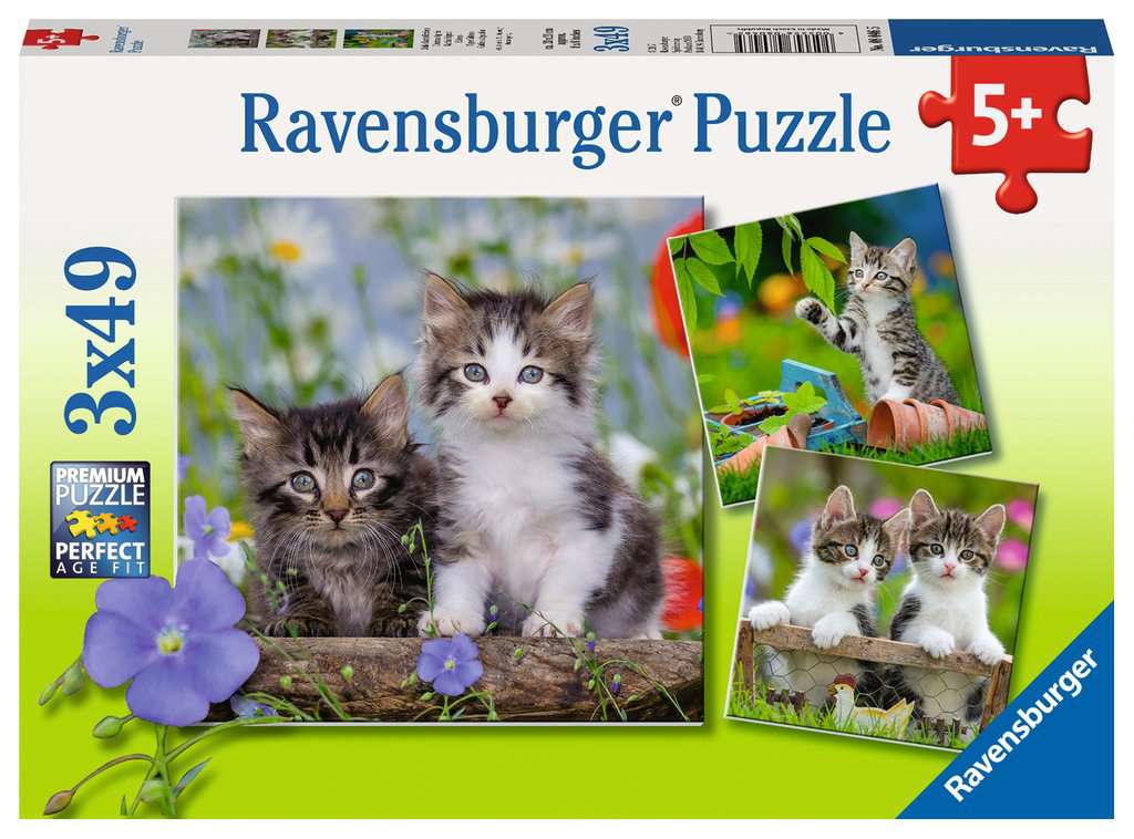 Tiger Kittens 3X49pc