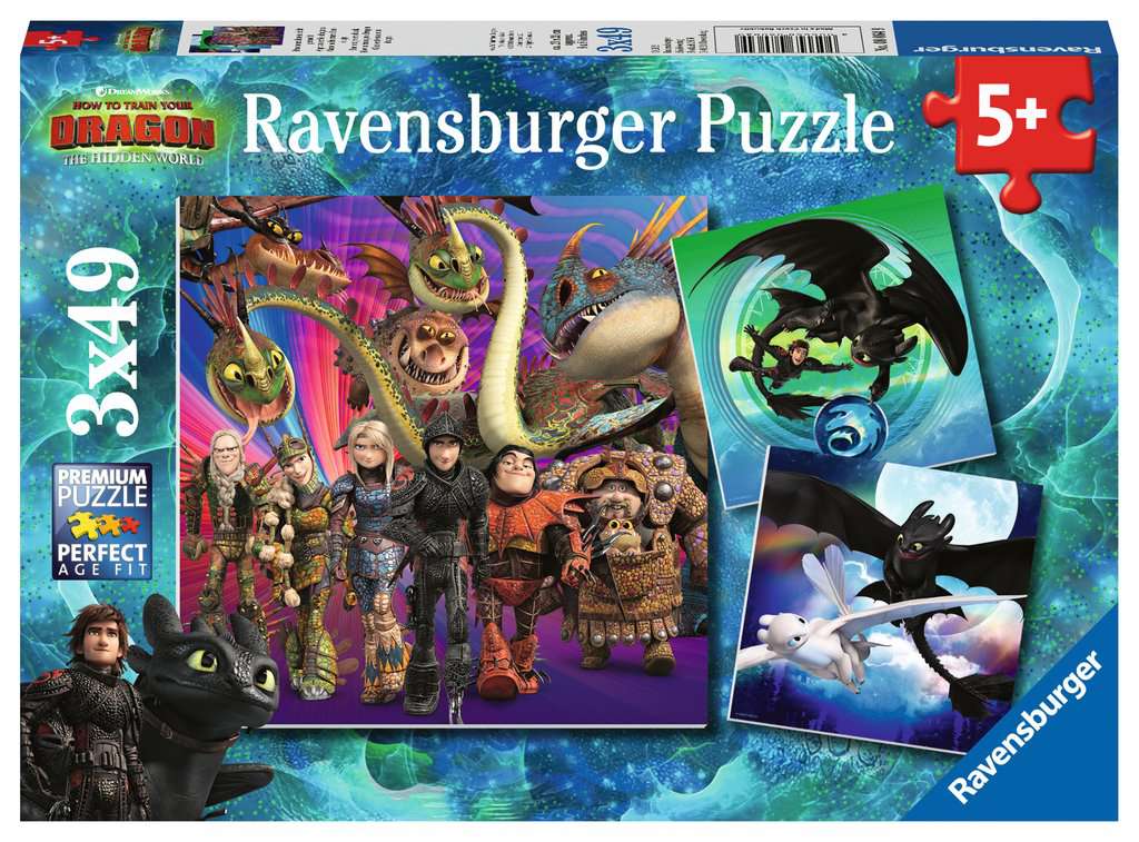 How to Train Your Dragon 3X49pc