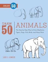 DRAW 50 ANIMALS