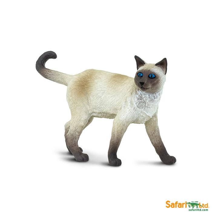 Siamese Cat