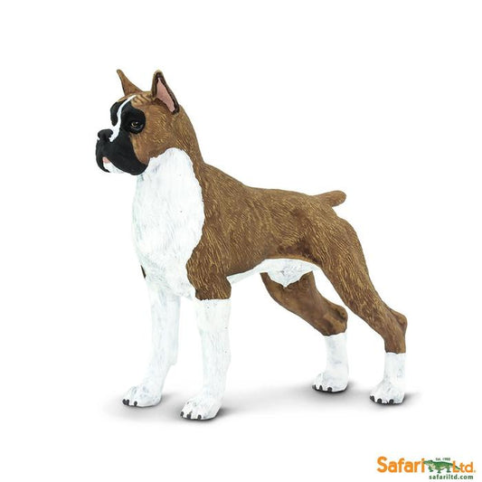 Boxer Dog