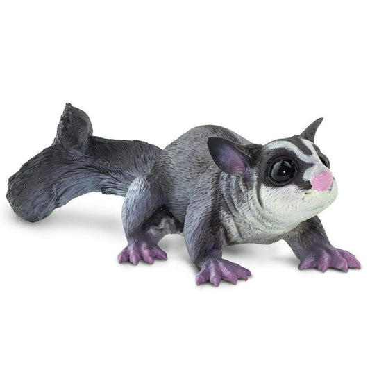 Sugar Glider
