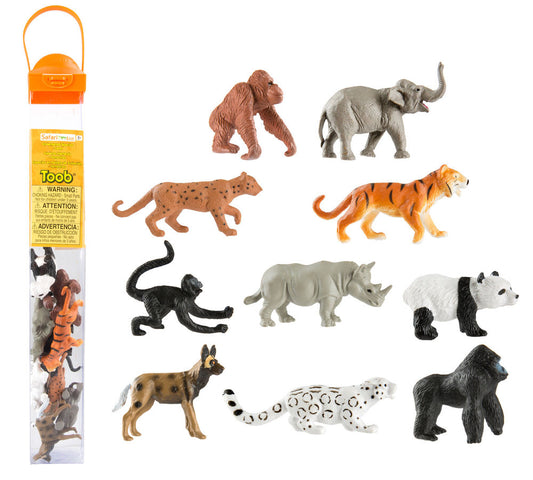 Endangered Species-Land