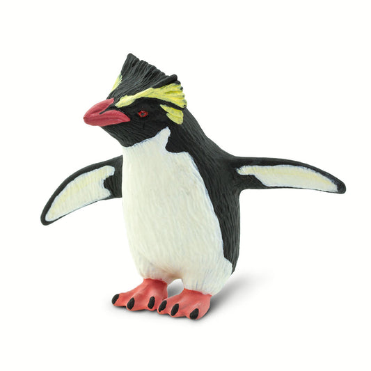 Rockhopper Penguin