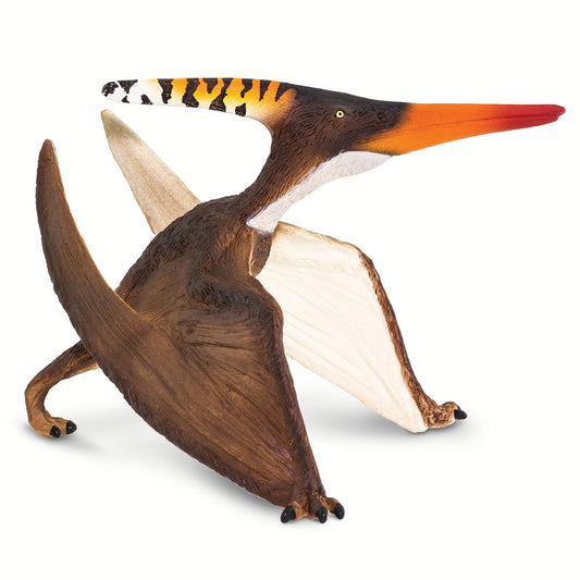 Pteranodon