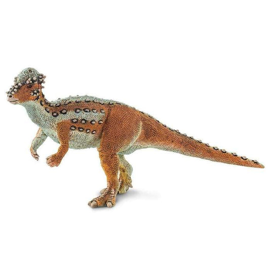 Pachycephalosaurus