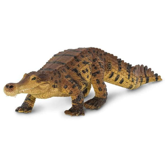 Sarocosuchus