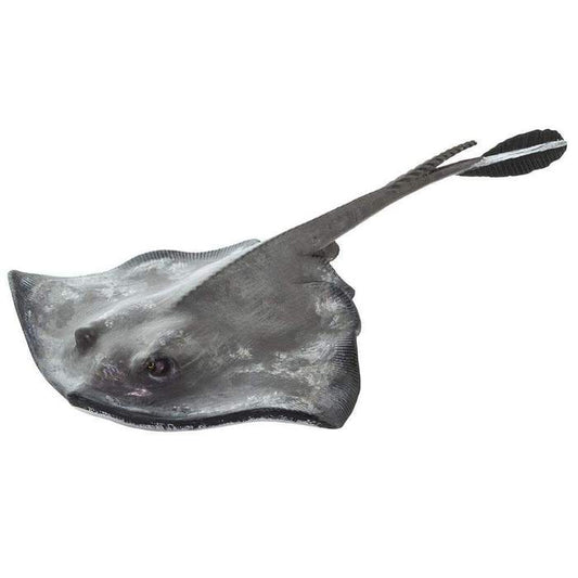 Sting Ray