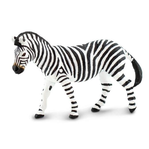 Plains Zebra
