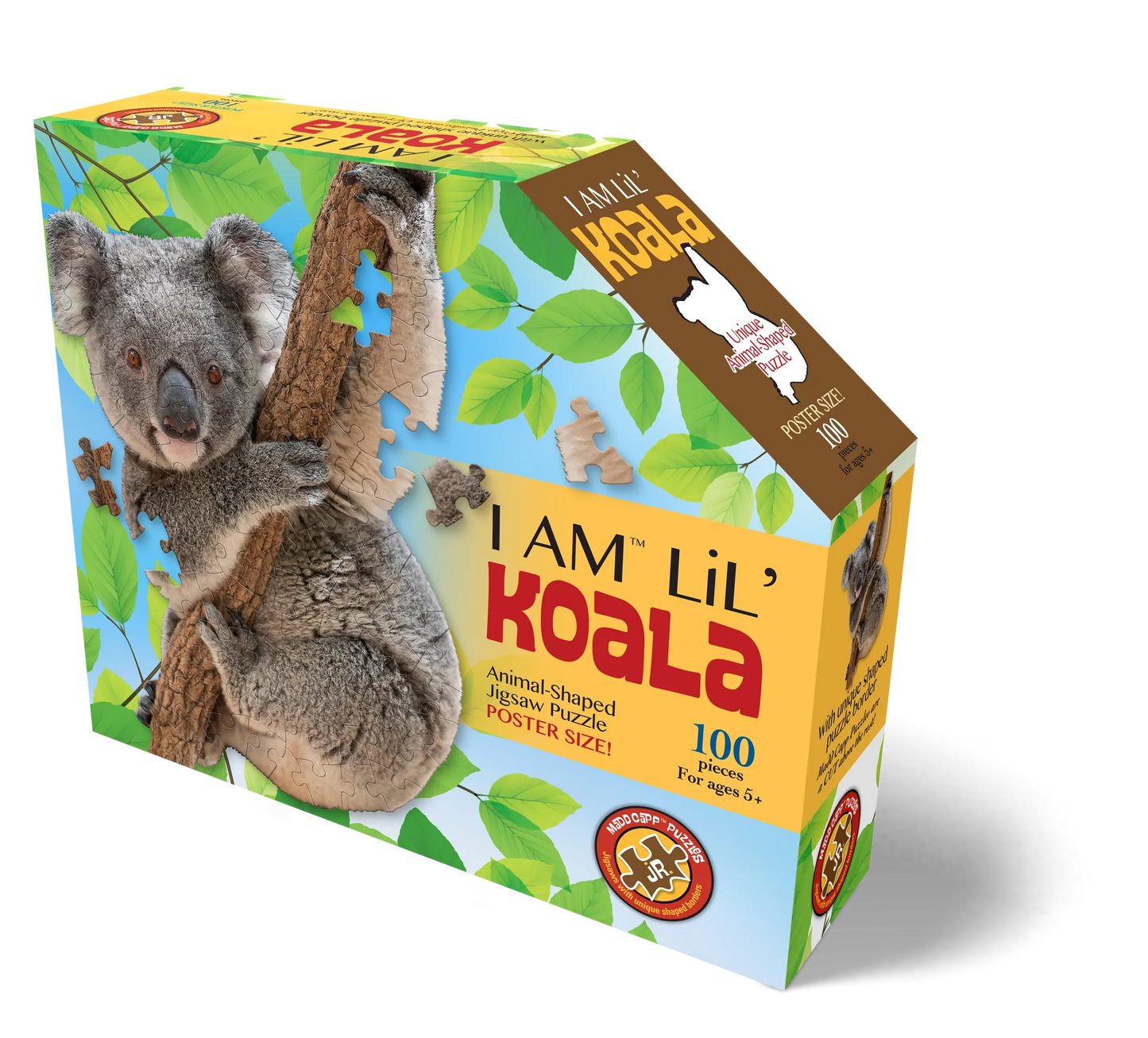 I am Lil' Koala 100pc