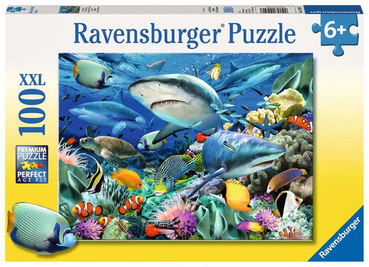 Shark Reef 100pc