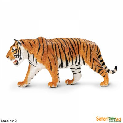 Siberian Tiger