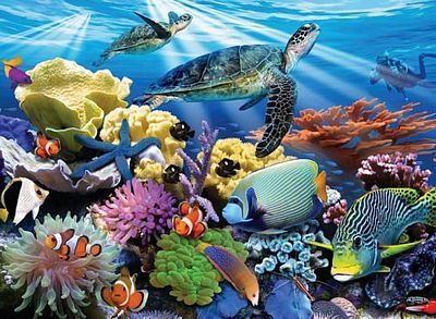 OCEAN TURTLES 200PC