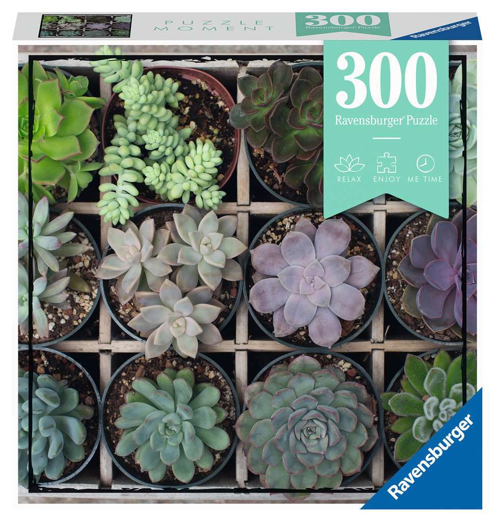 Green Puzzle Moment 300pc