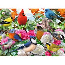 Garden Birds 500pc