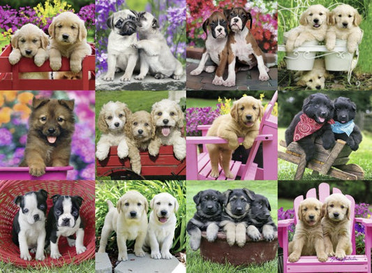 Puppy Pals 500pc