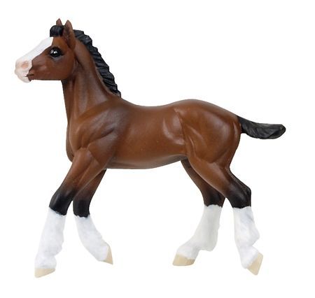 Clydesdale Colt