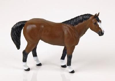 Quarter Horse