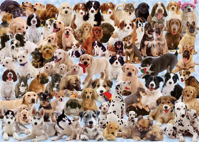 DOGS GALORE! 1000PC