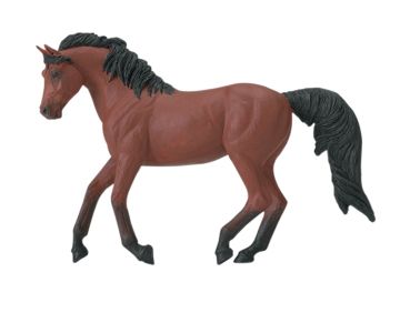 MORGAN MARE