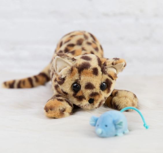 Loki Leopard