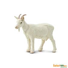 Nanny Goat