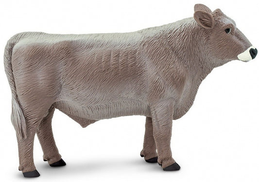 Brown Swiss Bull