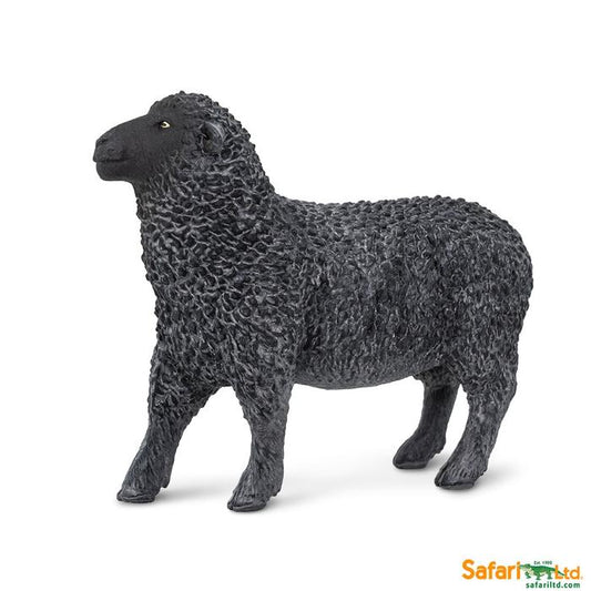 Black Sheep