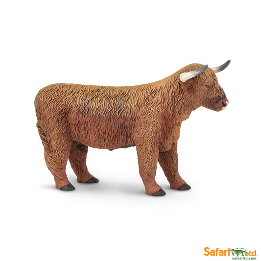 Highland Bull