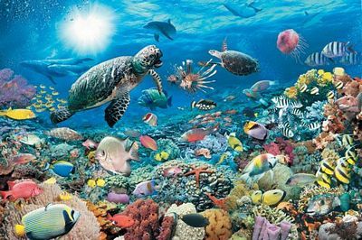 UNDERWATER TRANQUILITY 5000 PC