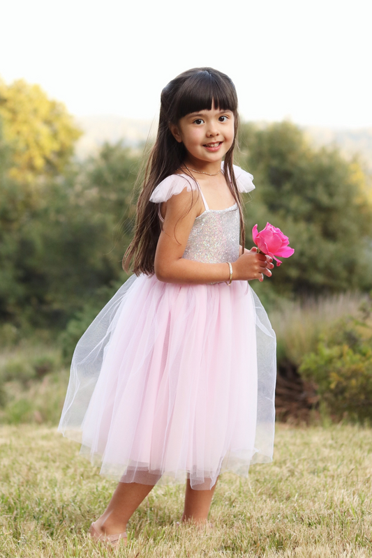 Sequin Princess Dress Size 3-4