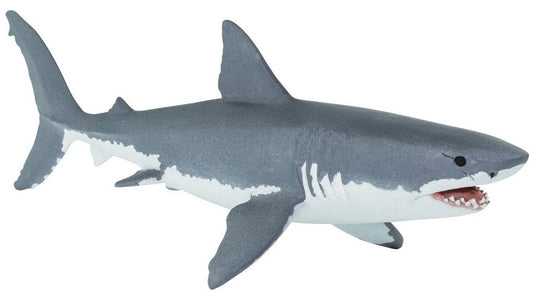 Great White Shark