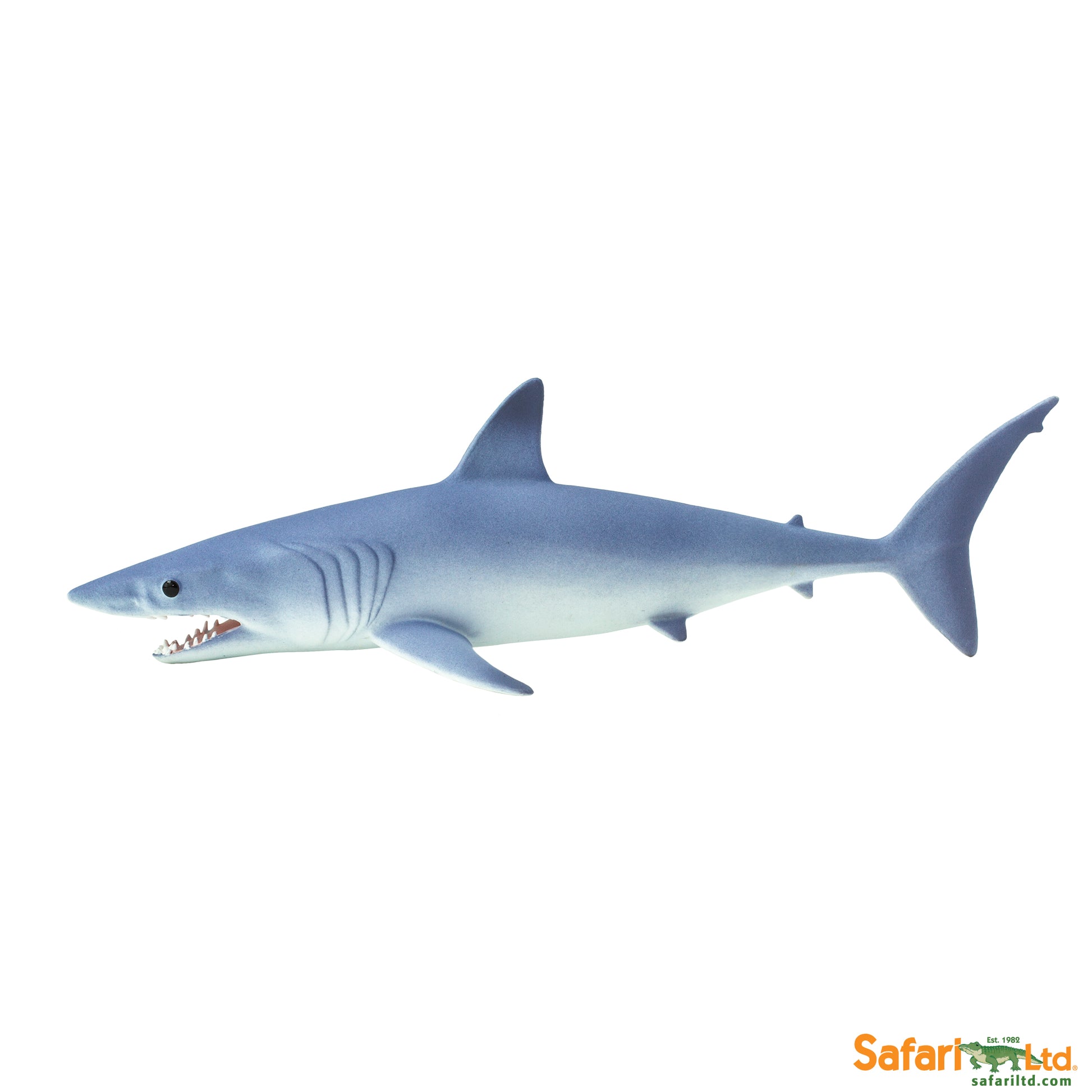 Mako Shark