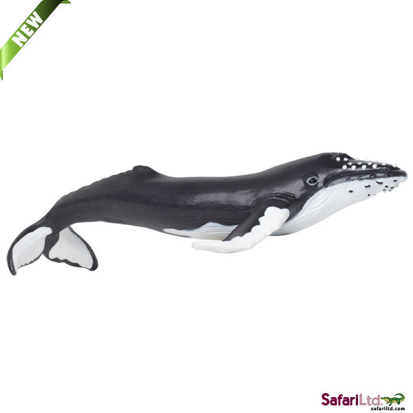 HUMPBACK WHALE