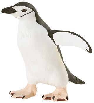 CHINSTRAP PENGUIN